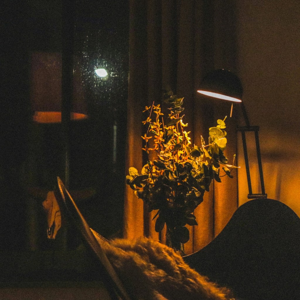 Lampă de citit cu fascicul îngust care luminează un buchet, noaptea, lângă o fereastră cu stropi de ploaie